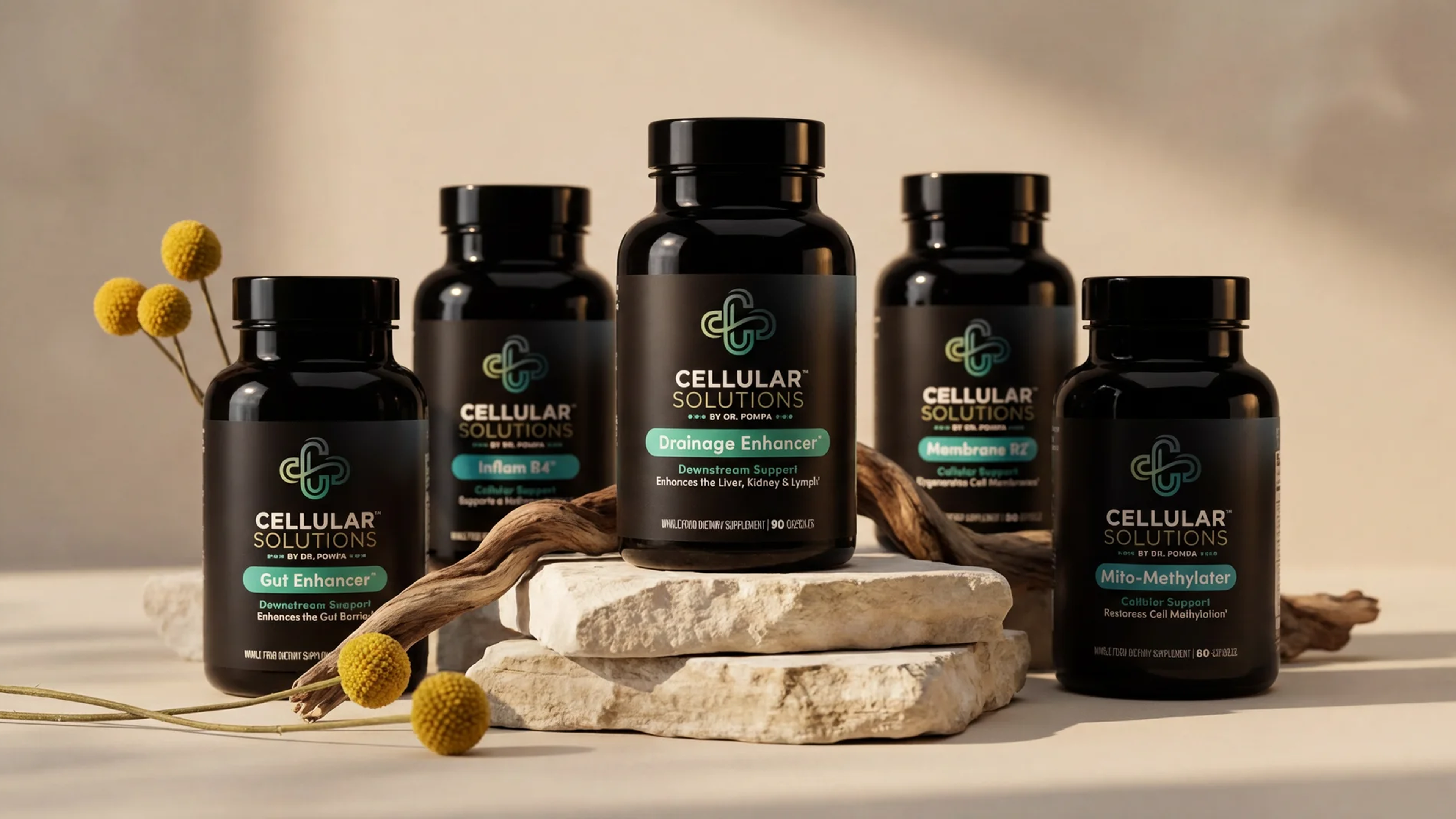 Cellular Solutions