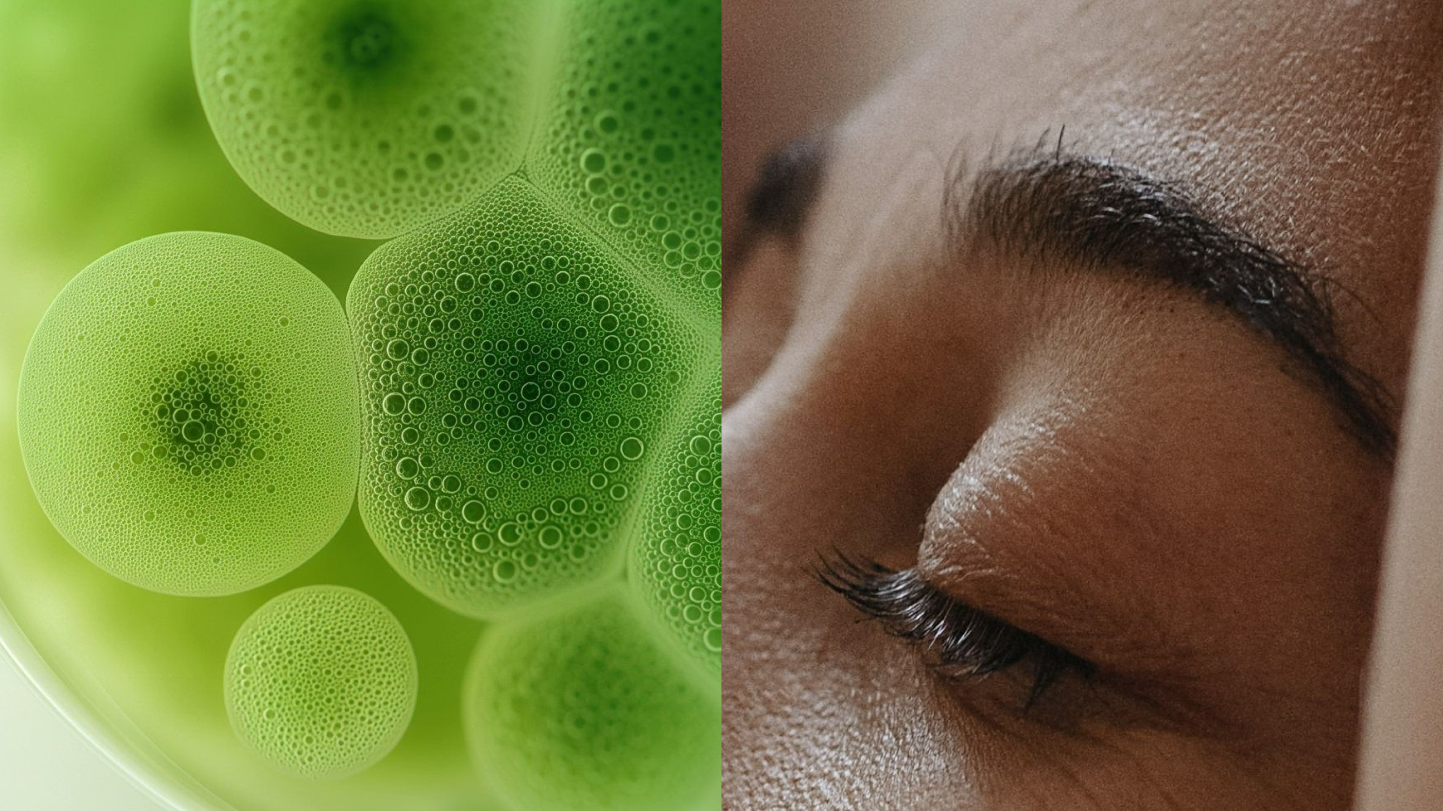 What Cellular Health Actually Means