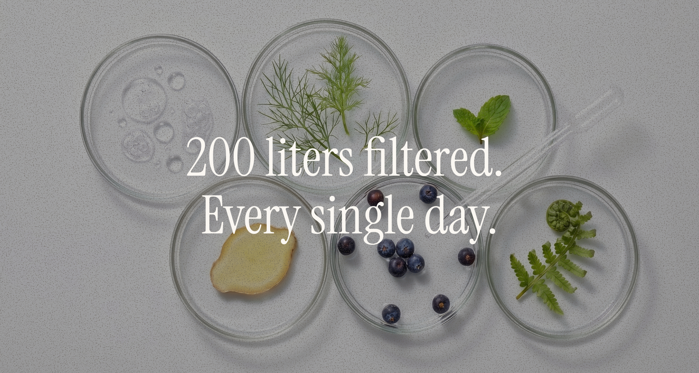 Overhead flat-lay of botanicals in glass petri dishes — water, dill, mint, ginger, blueberries, fern — overlay "200 liters filtered. Every single day."