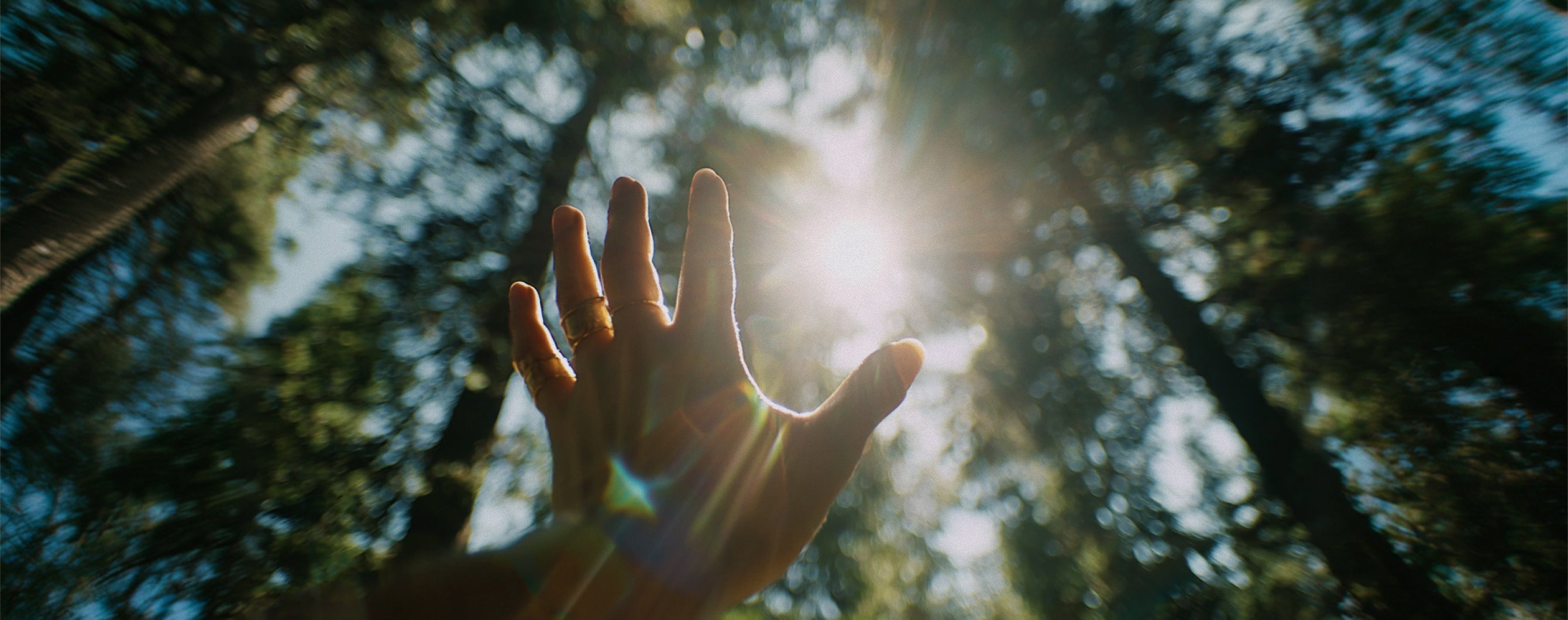 Persons hand reaching up to the sky