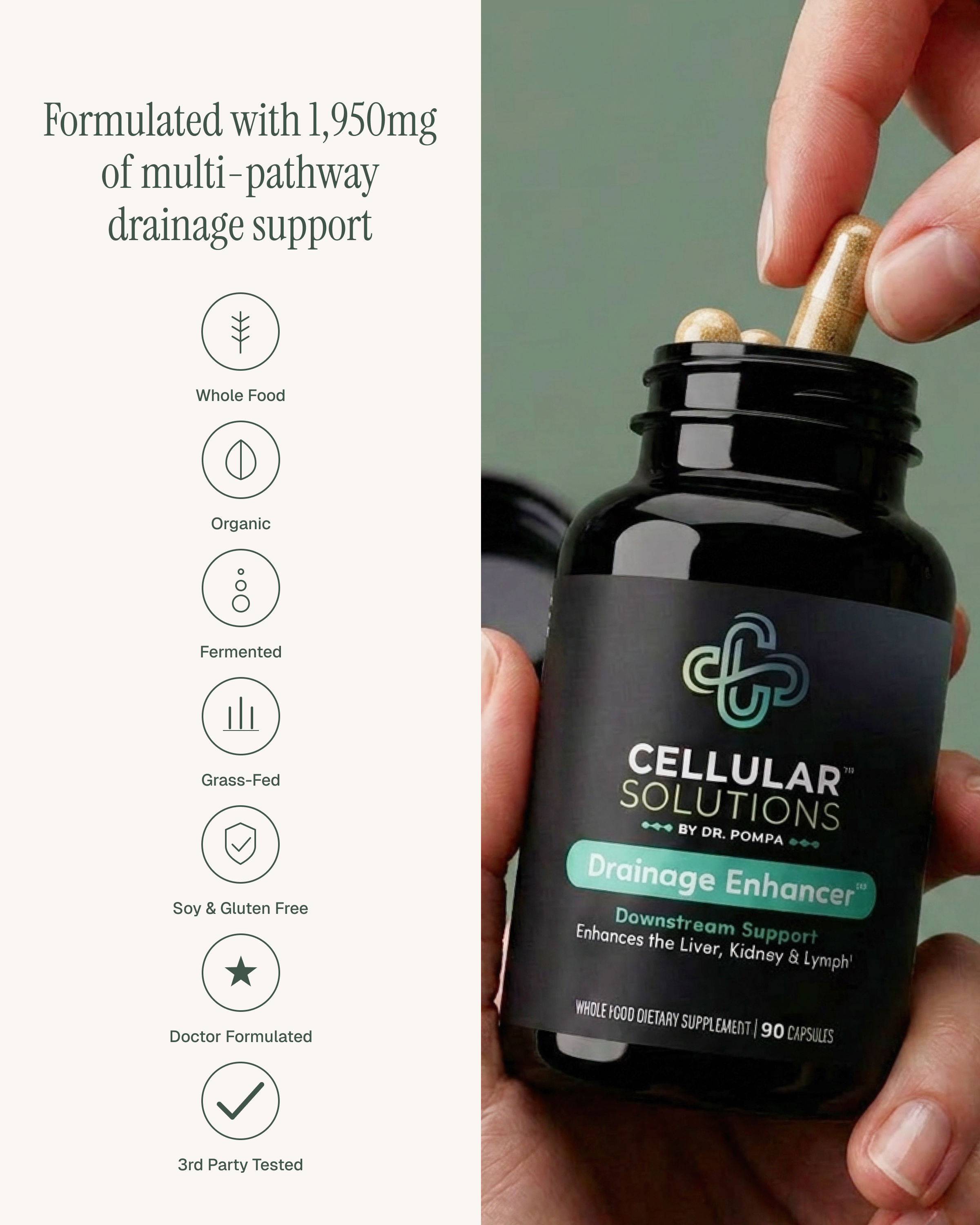 Hand holding the Drainage Enhancer bottle and a capsule beside six benefit icons — Whole Food, Organic, Fermented, Grass-Fed, Soy & Gluten Free, Doctor Formulated.
