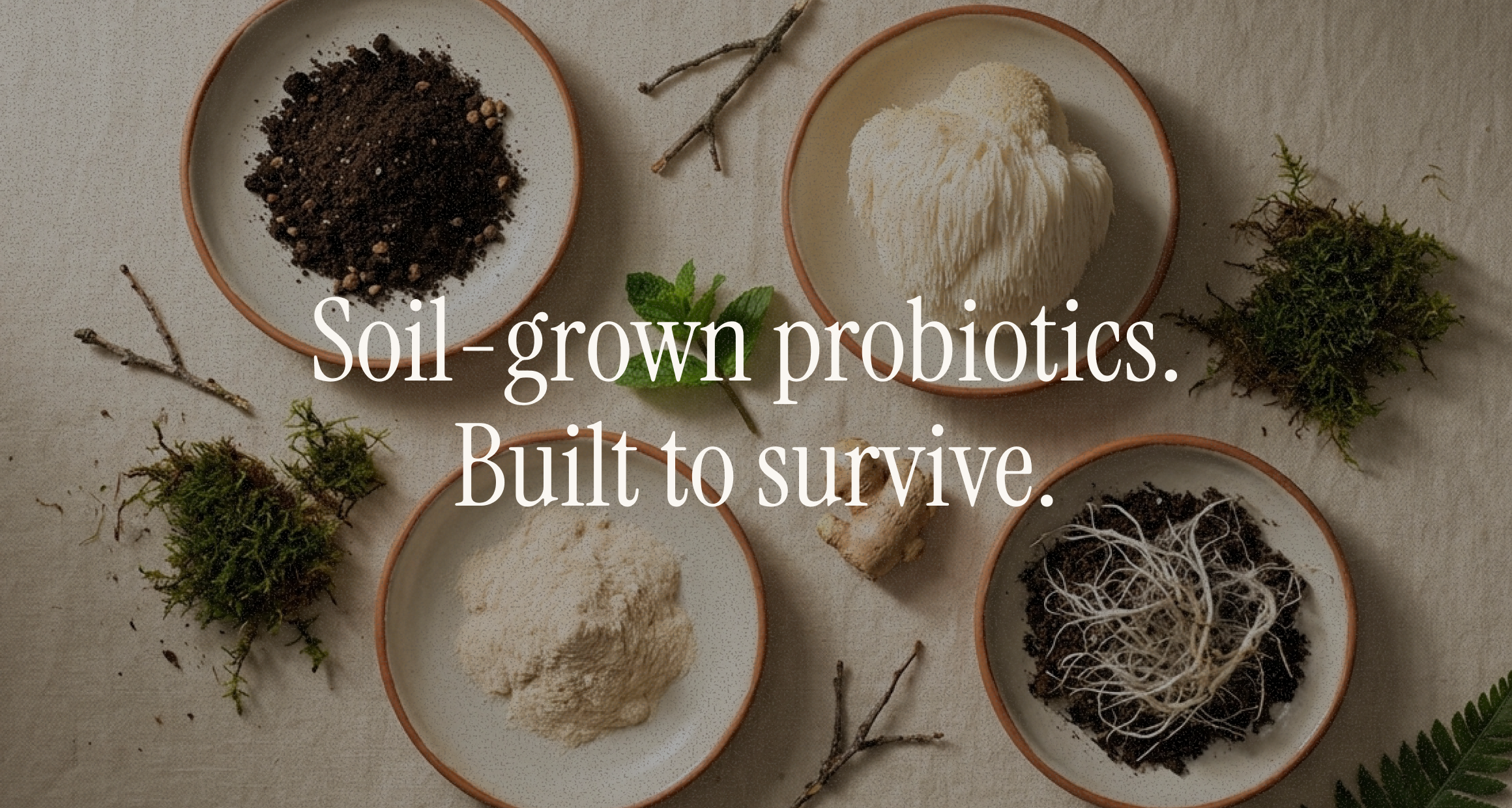 Overhead flat-lay on linen of ceramic plates with soil, Lion's Mane mushroom, mineral powder, and roots — overlay "Soil-grown probiotics. Built to survive." — microbiome pillar.