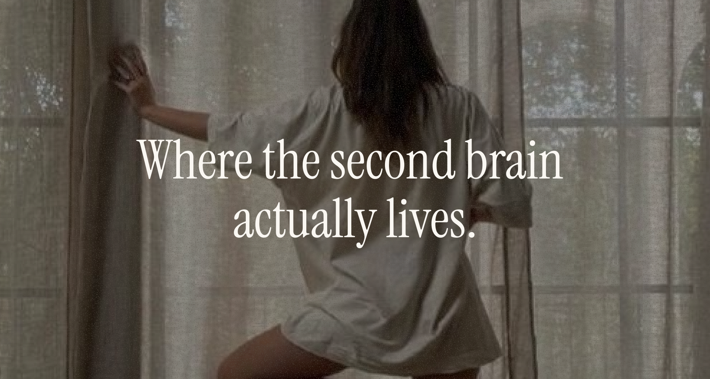 Woman in a soft cotton shirt at sheer white curtains in window light, overlay "Where the second brain actually lives" — gut-brain pillar.