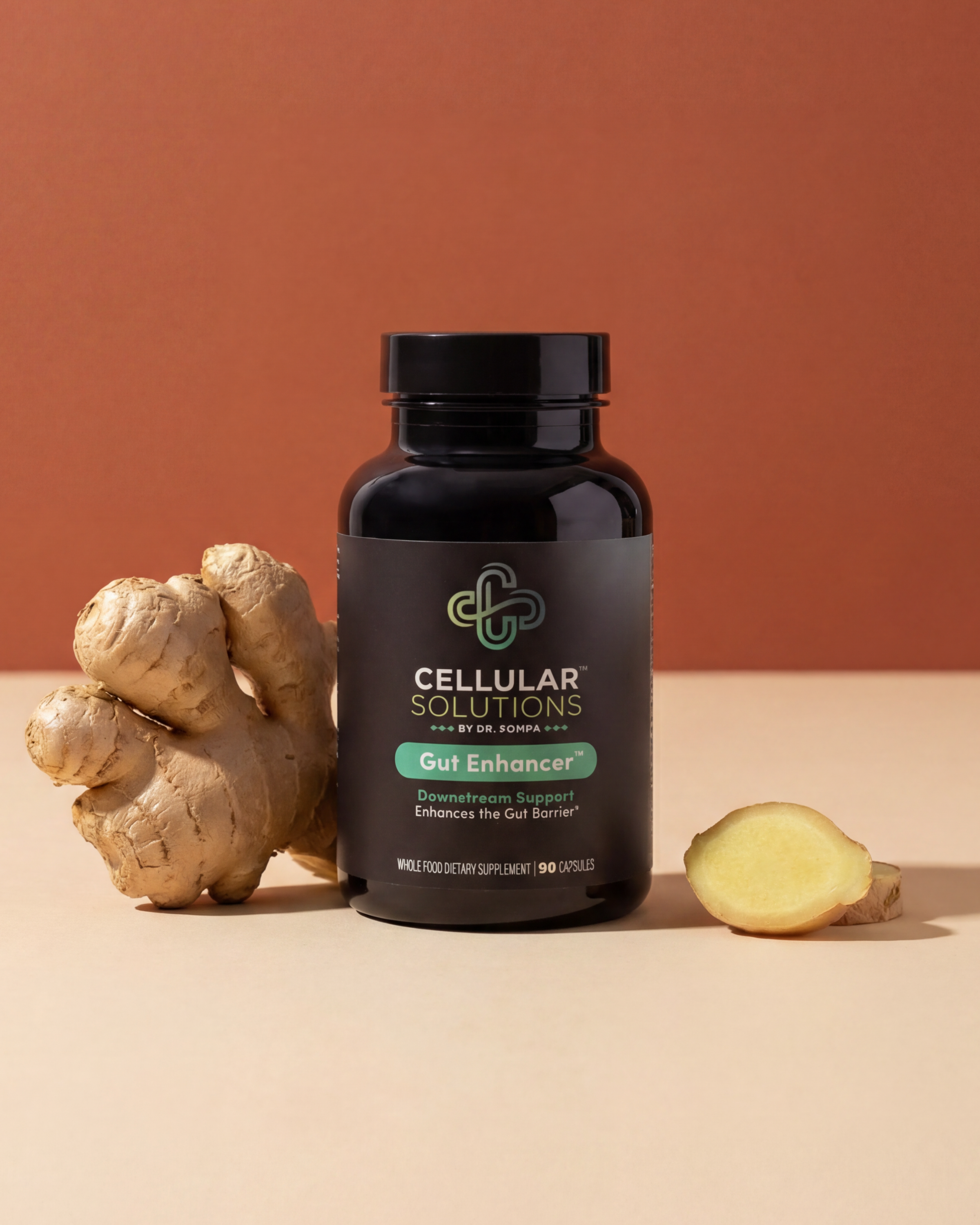 Cellular Solutions Gut Enhancer bottle on a terracotta backdrop with a whole ginger root and a fresh ginger slice beside it.