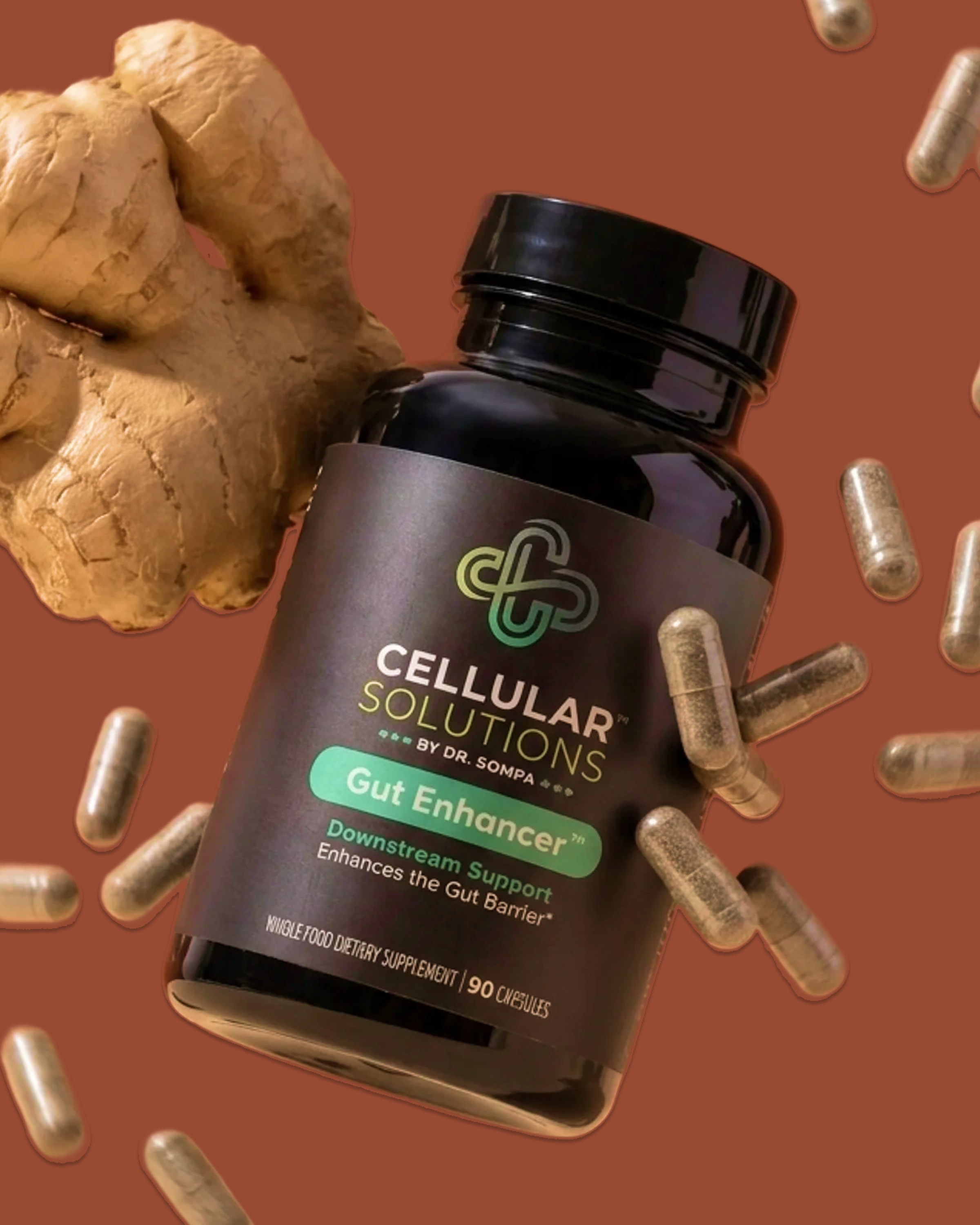 Gut Enhancer bottle floating on a terracotta backdrop with fresh ginger root and scattered tan herbal capsules.