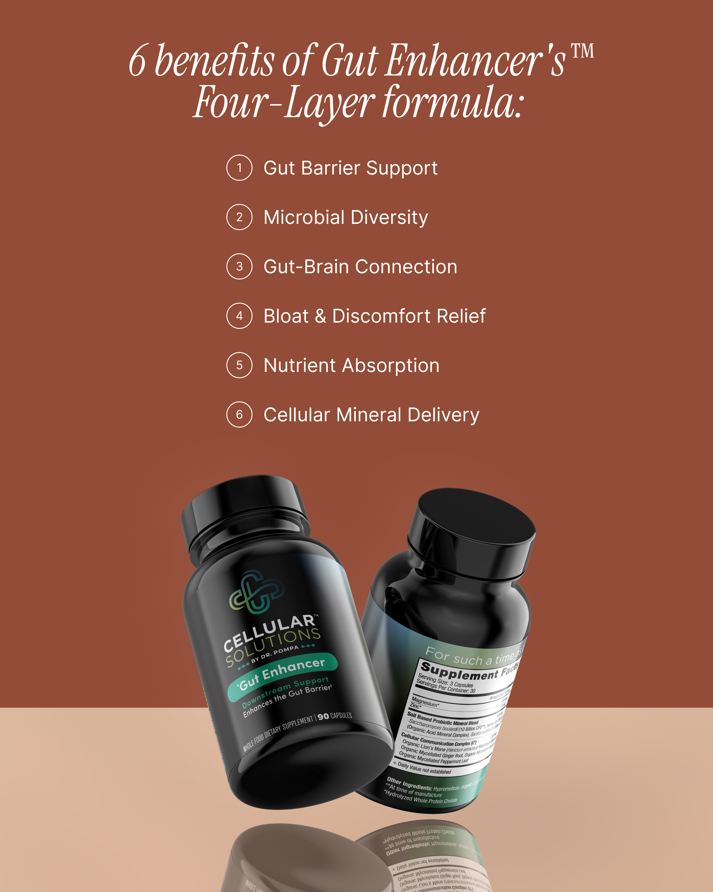Two Gut Enhancer bottles on a terracotta backdrop with the six-benefit Four-Layer formula list — Gut Barrier Support, Microbial Diversity, Gut-Brain Connection, Bloat & Discomfort Relief, Nutrient Absorption, Cellular Mineral Delivery.