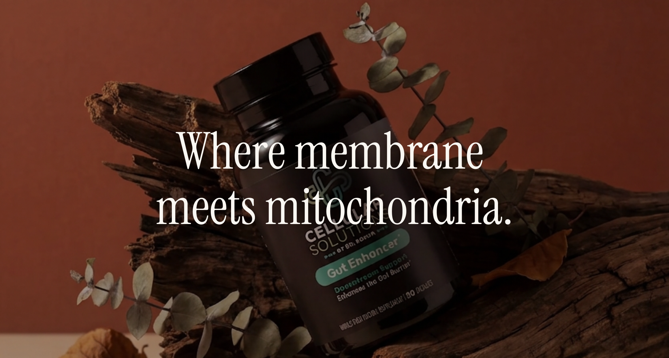 Bottle on driftwood with eucalyptus and dried leaves on a deep clay backdrop, overlay "Where membrane meets mitochondria." — cellular power pillar.