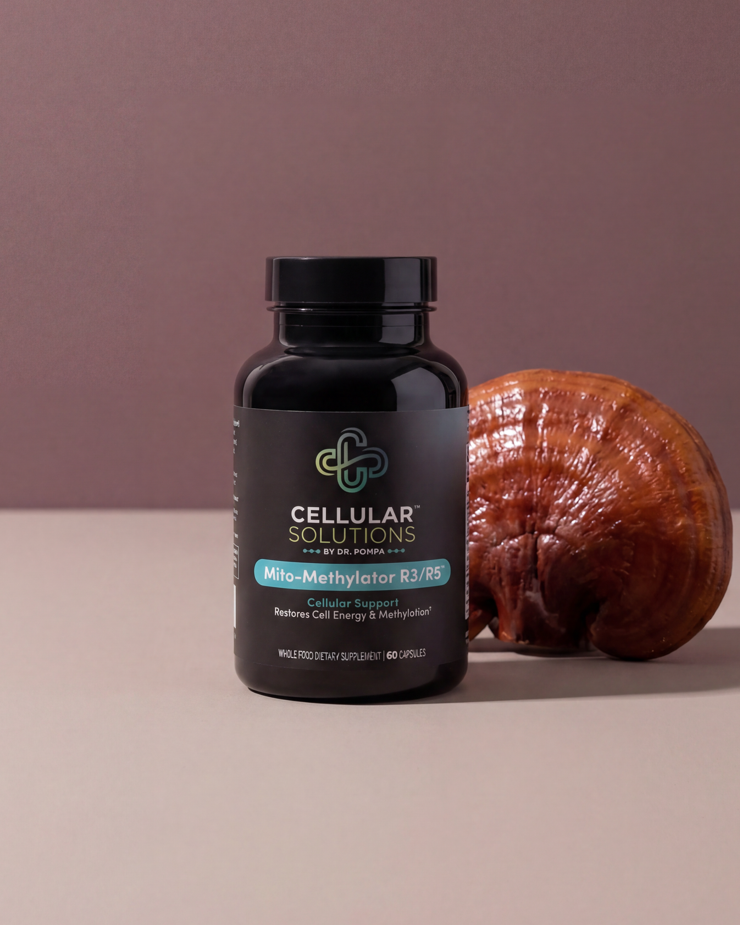 Cellular Solutions Mito-Methylator R3/R5 bottle on a soft mauve backdrop with a large fresh reishi mushroom beside it.