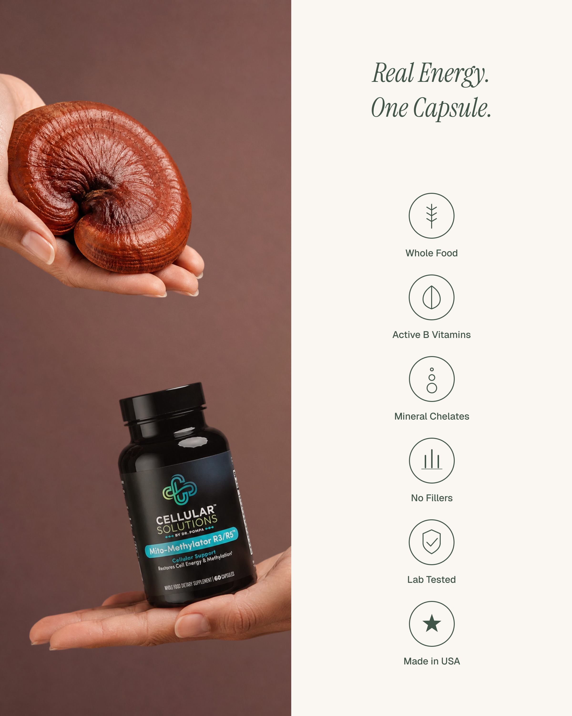 Hand holding a fresh reishi mushroom alongside the Mito-Methylator bottle, with six quality icons — Whole Food, Active B Vitamins, Mineral Chelates, No Fillers, Lab Tested, Made in USA.