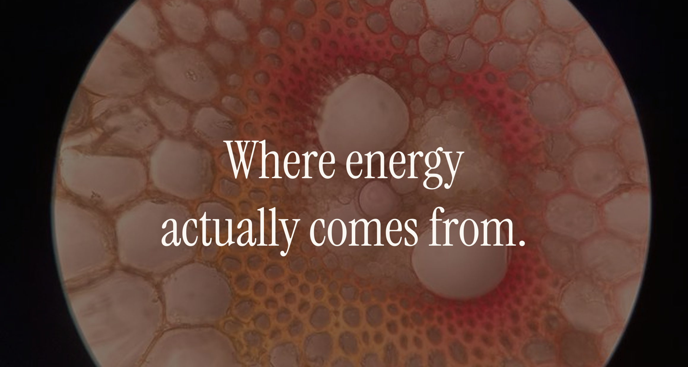 Microscopic cross-section in red and orange tones, overlay "Where energy actually comes from." — mitochondria pillar.