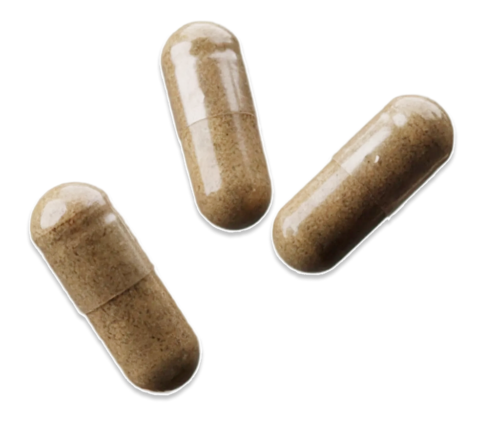 Three Mito-Methylator tan capsules — methylation, mitochondrial, and adaptogen support.