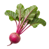 Whole beetroot with leafy greens — organic ingredient in Drainage Enhancer.