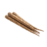 Burdock root — organic fermented ingredient in Drainage Enhancer.