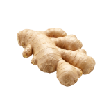 Whole ginger rhizome — organic myceliated ingredient in Drainage Enhancer.