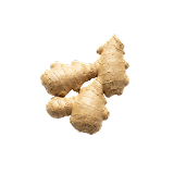 Whole ginger rhizome — digestive support ingredient in Gut Enhancer.
