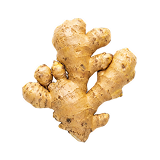 Fresh ginger root — fermented form in Inflam R4 for concentrated gingerols and shogaols.