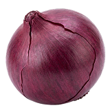 Quercetin powder — bioflavonoid in Inflam R4 for NF-κB, COX-2, and mast cell support.