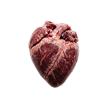 Grass-fed bovine heart — natural source of cardiolipin and CoQ10 in Membrane R2.